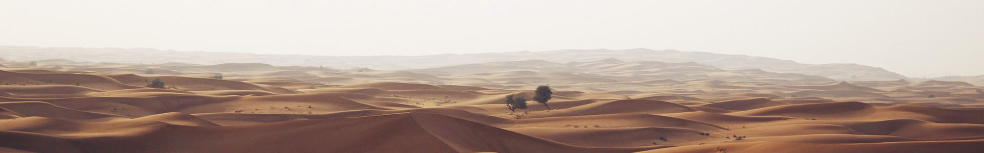 ŵ˹Ƽ޹˾